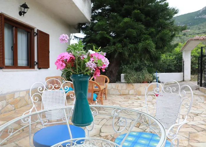 Lemon Tree House