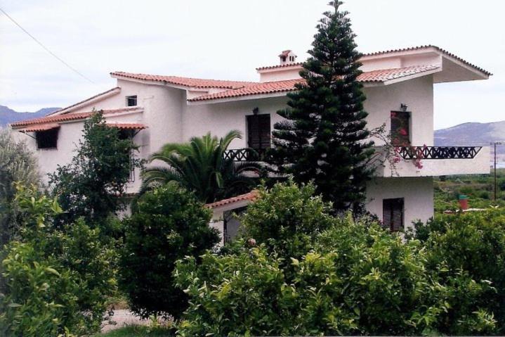 Lemon Tree House Holiday home *