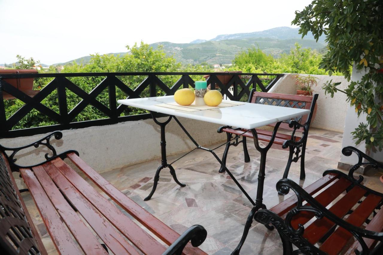 Hébergement de vacances Lemon Tree House
